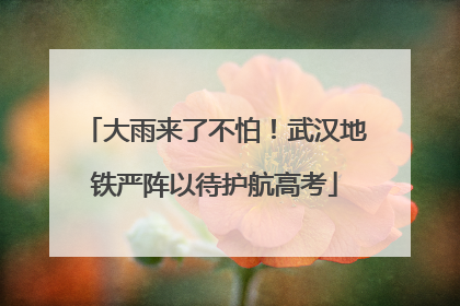 大雨来了不怕！武汉地铁严阵以待护航高考