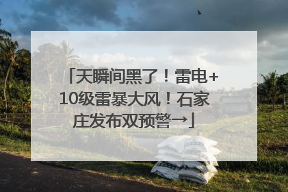 天瞬间黑了！雷电+10级雷暴大风！石家庄发布双预警→