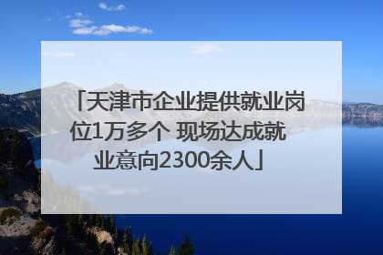 天津市企业提供就业岗位1万多个 现场达成就业意向2300余人