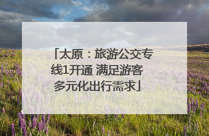太原：旅游公交专线1开通 满足游客多元化出行需求