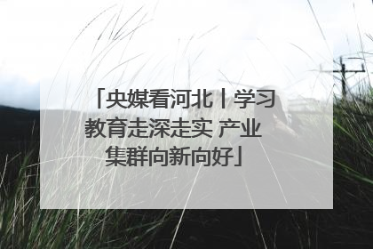 央媒看河北丨学习教育走深走实 产业集群向新向好