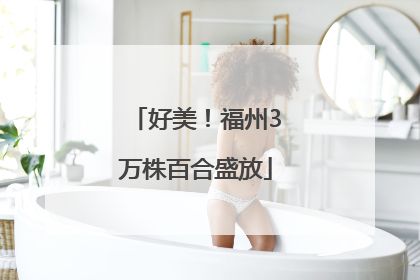 好美！福州3万株百合盛放