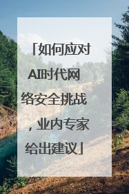如何应对AI时代网络安全挑战，业内专家给出建议