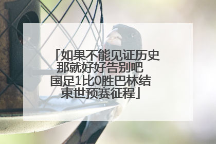 如果不能见证历史 那就好好告别吧 国足1比0胜巴林结束世预赛征程