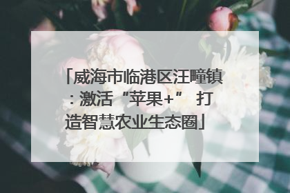 威海市临港区汪疃镇：激活“苹果+” 打造智慧农业生态圈