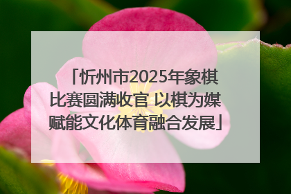 忻州市2025年象棋比赛圆满收官 以棋为媒赋能文化体育融合发展