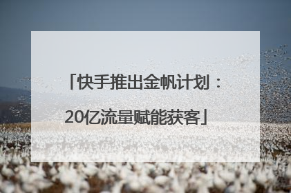 快手推出金帆计划：20亿流量赋能获客