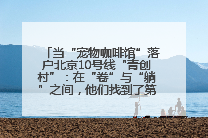 当“宠物咖啡馆”落户北京10号线“青创村”：在“卷”与“躺”之间，他们找到了第三种生活公式