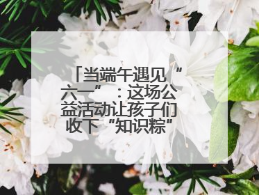 当端午遇见“六一”：这场公益活动让孩子们收下“知识粽”与“成长礼”