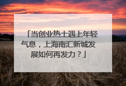 当创业热土遇上年轻气息，上海南汇新城发展如何再发力？