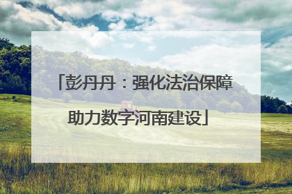 彭丹丹：强化法治保障 助力数字河南建设