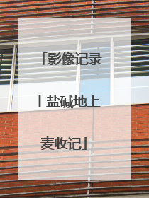 影像记录丨盐碱地上麦收记