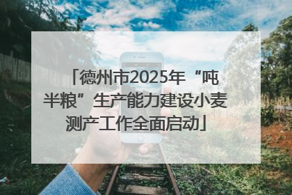 德州市2025年“吨半粮”生产能力建设小麦测产工作全面启动