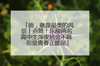 德，就是最美的风景丨点赞！乐陵两名高中生深夜拾金不昧 彰显青春正能量
