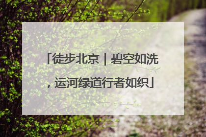 徒步北京｜碧空如洗，运河绿道行者如织