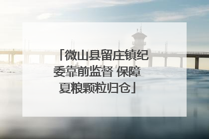 微山县留庄镇纪委靠前监督 保障夏粮颗粒归仓