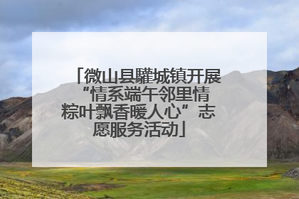 微山县驩城镇开展“情系端午邻里情 粽叶飘香暖人心”志愿服务活动