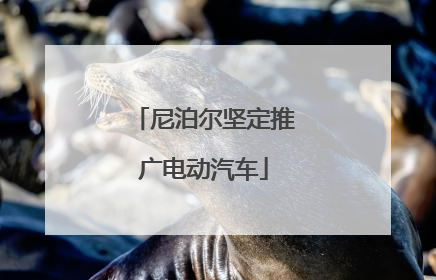 尼泊尔坚定推广电动汽车