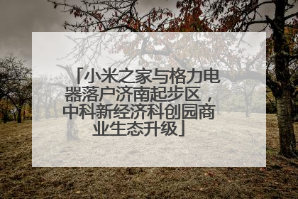 小米之家与格力电器落户济南起步区，中科新经济科创园商业生态升级
