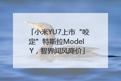 小米YU7上市“咬定”特斯拉Model Y，智界闻风降价