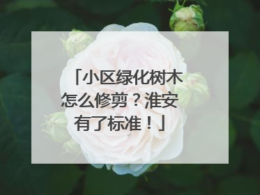 小区绿化树木怎么修剪？淮安有了标准！