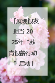展现银发担当 2025年“苏青银龄行动”启动