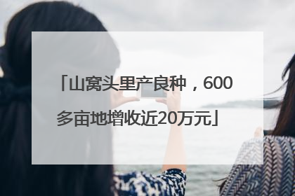 山窝头里产良种，600多亩地增收近20万元