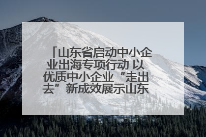 山东省启动中小企业出海专项行动 以优质中小企业“走出去”新成效展示山东产业发展新形象