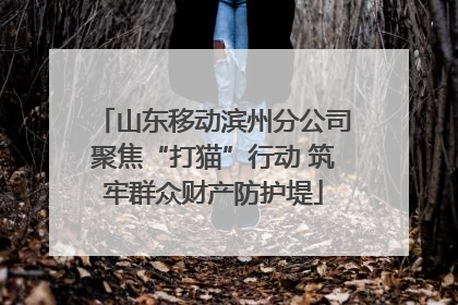 山东移动滨州分公司聚焦“打猫”行动 筑牢群众财产防护堤