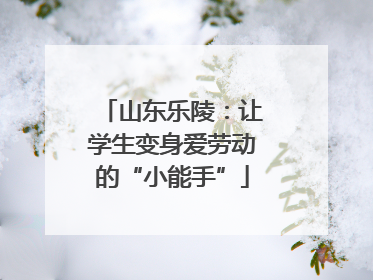 山东乐陵：让学生变身爱劳动的“小能手”