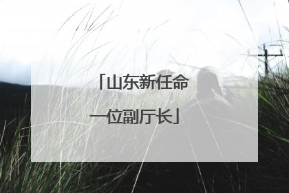 山东新任命一位副厅长