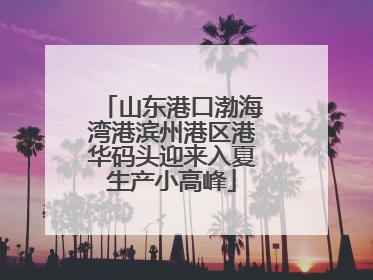 山东港口渤海湾港滨州港区港华码头迎来入夏生产小高峰