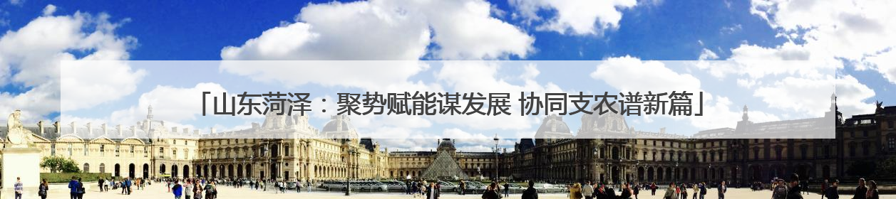山东菏泽：聚势赋能谋发展 协同支农谱新篇