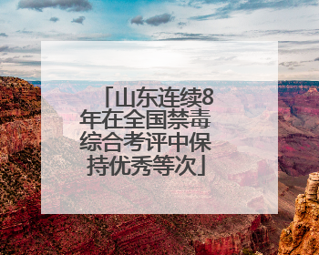 山东连续8年在全国禁毒综合考评中保持优秀等次