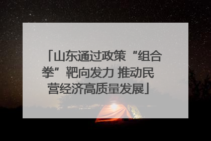 山东通过政策“组合拳”靶向发力 推动民营经济高质量发展