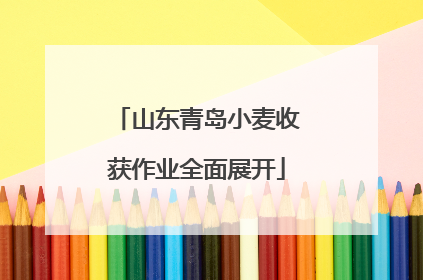 山东青岛小麦收获作业全面展开
