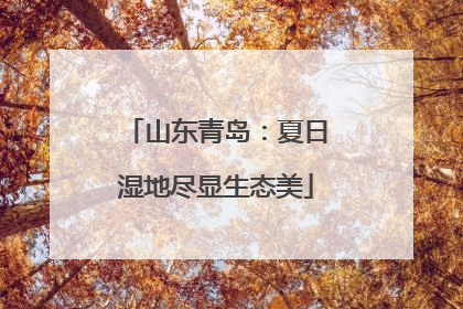 山东青岛：夏日湿地尽显生态美