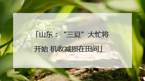 山东：“三夏”大忙将开始 机收减损在田间