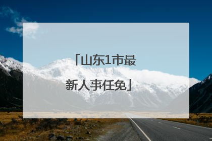 山东1市最新人事任免