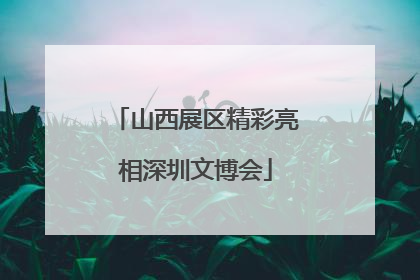 山西展区精彩亮相深圳文博会