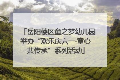 岳阳楼区童之梦幼儿园举办“欢乐庆六一·童心共传承”系列活动