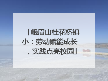 峨眉山桂花桥镇小：劳动赋能成长，实践点亮校园