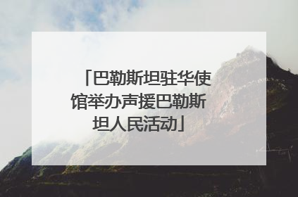 巴勒斯坦驻华使馆举办声援巴勒斯坦人民活动