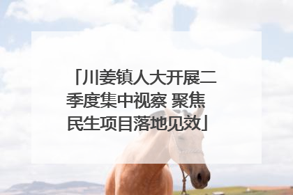川姜镇人大开展二季度集中视察 聚焦民生项目落地见效