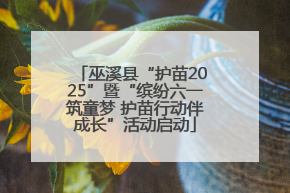巫溪县“护苗2025”暨“缤纷六一筑童梦 护苗行动伴成长”活动启动
