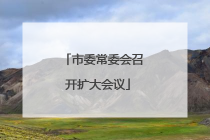 市委常委会召开扩大会议