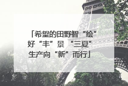 希望的田野智“绘”好“丰”景 “三夏”生产向“新”而行