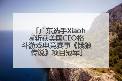 广东选手Xiaohai斩获美国CEO格斗游戏电竞赛事《饿狼传说》项目冠军
