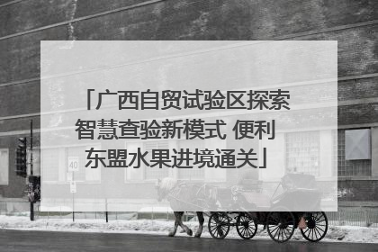 广西自贸试验区探索智慧查验新模式 便利东盟水果进境通关