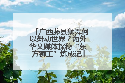 广西藤县狮舞何以舞动世界？海外华文媒体探秘“东方狮王”炼成记